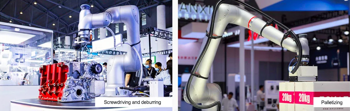 Flexible Collaborative Robots 