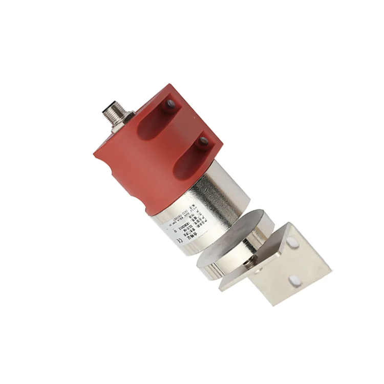 SS/E-06 SAFETY DOOR SWITCH